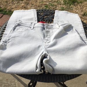 Gloria Vanderbilt Stretch Pants Short